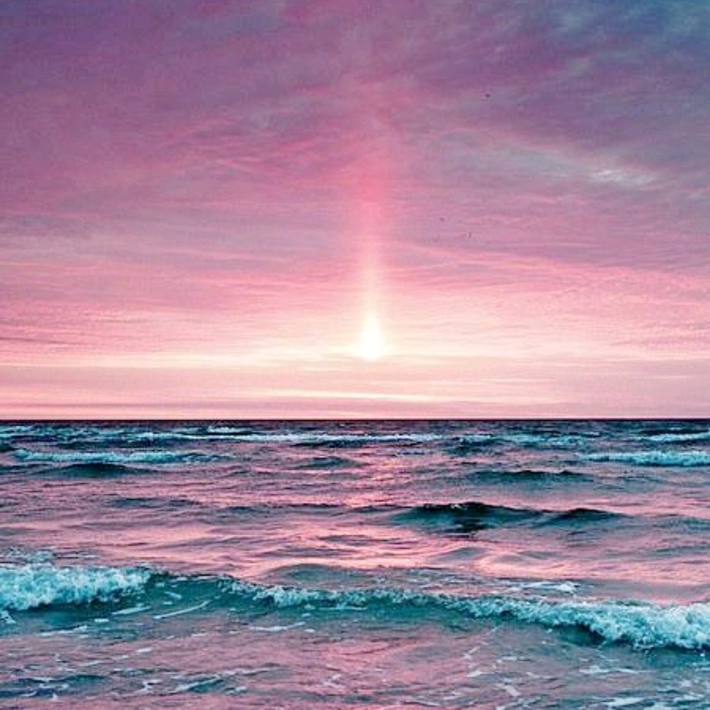 Meet your Posher, Tj